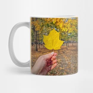 under the yellow maple tree Mug